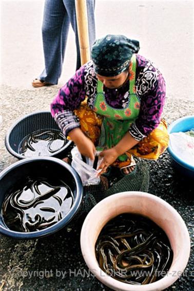 11 Thailand 2002 F1060021 Khao Lak Ausflug Khao Sok_478